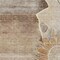 Homeroots 10' X 14' Brown Beige And Taupe Floral Washable Indoor Outdoor Area Rug 582241 - alternate 6