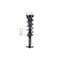 Fcs Struts Suspension Strut And Coil Spring Assembly 1355148R - alternate 1