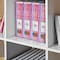 Acrimet Magazine File Holder Vertical Rack, Durable Plastic Desk Organizer, Clear Pink, 2PK 277.8 - alternate 8