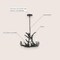 Jonathan Y Nelle 18" Adjustable Resin Antler 3-Light Dimmable LED Chandelier, Black JYL6304B - alternate 9