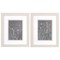 Homeroots Set Of Two Gray Poppies Sketch White Framed Print Wall Art, 2PK 521528 - alternate 1