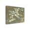 Trademark Fine Art Outdoor Canvas Art - Danhui Nai 'Dogwood in Spring' Wall Art for Patios, or Gardens WAP33442-OC3547WR - alternate 1