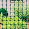 Tenax Tenax 4  H X 50 ft. L Polypropylene Garden Fencing 2 in. 320694 - alternate 4