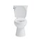 Craft And Main Round Toilet, 1.2, pc, Easley, Guard TL-5800AF-RW - alternate 8