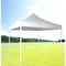 Zenport Solar Guard Canopy, 10x10-Foot AGT3M - alternate 2