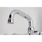 Kingston Brass Double-Handle Wall Mount Bar Faucet, Polished Chrome KS312C - alternate 6