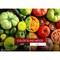 Viewsonic 27" 4K UHD Professional Graphic Design Monitor with USB-C, 3840 x 2160 Resolution. VP2756-4K - alternate 16