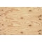 Falken Design CDX Plywood Sheating 48in x 96in x 15/32in - Construction Grade PS2 CDX--15/32-4896 - alternate 7