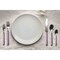 Mepra Fantasia Flatware Set - 5 Pieces - Lilac 10H722005 - alternate 5