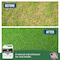 Turf Titan Root Booster Soil Amendment 6000 sq ft 32 oz TT32RBHER - alternate 6