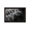 Homeroots Delicate Beauty Black Framed Print Wall Art 530164 - alternate 4