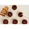 Plantbest 2.5'' Coconut Coir Plantable Pot, 12PK 3488 - alternate 4