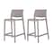 Lagoon Sensilla Resin Stackable Counter Stool, 2PK 7211G6-CSLGS - alternate 1