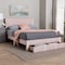 Baxton Studio Elora Modern Light Pink Pleated Velvet Queen Size Storage Bed 255-13812-ZORO - alternate 8