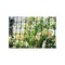 Tenax Fence 2 ft. H X 25 ft. L Polyethylene Garden Green Green 2A140089 - alternate 6