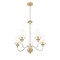 Z-Lite Katerina 5 Light Chandelier, Rubbed Brass, 24 In W x 26.5 In H 1950-5RB - alternate 6