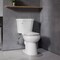 Anzzi Garden 12in 2pc 1.28 GPF Siphon Elongated Ceramic Toilet, White Electric Bidet Seat, ADA height Incl TL-AZ070-EB106V - alternate 8