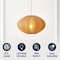 Jonathan Y Kira 18.38" 1-Light Scandinavian Japandi Adjustable Lantern Metal w/Ribbed Cocoon UFO Saucer Shade L JYL4208D - alternate 9