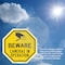 Signmission Beware Cameras in Operation, 10 inch X 10 inch, Aluminum Metal Signs, 5PK OC-A-5Pack-10-327 - alternate 5