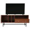 Leisuremod Rochester Rectangular TV Stand with Enclosed Storage and Powder Coated Iron Legs, Walnut RTS60NW - alternate 9