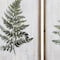 Homeroots 16" X 24" Ferns, Set Of 2, 2PK 365968 - alternate 4