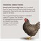 Kent Home Fresh Extra Egg Layer 50 Lb. Crumble Feed 3661 - alternate 7