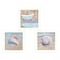 Homeroots Set Of Three Shells II White Framed Print Bathroom Wall Art, 3PK 405680 - alternate 1