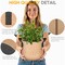 Ipower Grow Bag, 1-gallon, Tan, 300G, 5PK GLGROWBAG1X5TAN - alternate 7