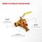 Everflow SWTxFIP Full Port Ball Valve, Purge Station with Boiler Drain, Heavy Duty Forged Brass 3/4 PS34CF - alternate 3
