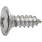 Auveco Phillips Oval Head Sems Flush Washer Tapping Screw #10 x 5/8in - Chrome, 100PK 23835 - alternate 1