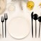 Smarty Had A Party Solid Black Moderno Disposable Plastic Dinner Spoons (480 Spoons), 480PK 9330-BSP-CASE - alternate 1