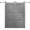 Sartodoors Modern Double Barn Door 60 x 84 inches, Ego 5010 Painted Grey Oak, 13FT Silver Rail Track Set, So EGO5010DB-S-SEK-6084 - alternate 1