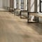 Daltile Asher Bend 9in. x 71in. Rigid Click Luxury Vinyl Flooring 26.50 Sq Ft, 6PK AB2397120L65MSX - alternate 6