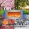 Northwest 30in Wall Mounted Electric Fireplace 13 Backlight Colors and Remote Control 80-BL31-2002 - alternate 14