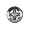 Auveco Phillips Oval Head Tapping Screw 6 x 1 1/4in Chrome, 100PK 1797 - alternate 2