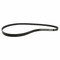 Motorcraft Serpentine Belt,  JK6591 - alternate 4