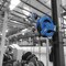 Coxreels EZ-P-LP-350 SAFETY SERIES SPRING REW HOSE REEL FOR AIR/WATER: 3/8IN ID, 50FT HOS EZ-P-LP-350 - alternate 13