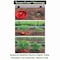 Tomato Crater Root-Zone Watering Ring for Tomatoes & Vegetables - Made in USA Snap-Together Base System for Deep Watering, Reduced Weeds & Healthier Roots, 3-Pack PK3 DP3031-3 - alternate 6
