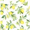 Brewster Limon Chartreuse Fruit Wallpaper 2904-25686 - alternate 1