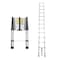 Wrightmaster 16.5 ft. Aluminum Portable Extension Ladder with 300 lbs. Load Capacity Type IA Duty Rating for Hom ZR-255612 - alternate 1
