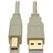 Eaton EATON USB 2.0 A To B Cable M/m, Beige, 6 Ft. 1.83 M U022-006-BE - alternate 1