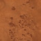 Bali & Pari Fuentes Real Natural Burl Wood Platform Bed 268-14508-ZORO - alternate 5