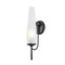 Troy Lighting Legacy 1 Light Wall Sconce in Forged Iron Finish B4217-FOR - alternate 1
