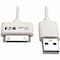 Tripp Lite Charge Cable, Apple 30-Pin Dock, White, 3ft M110-003-WH - alternate 1