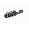 Fcs Struts Suspension Strut And Coil Spring Assembly 1333160 - alternate 5