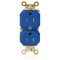 Leviton PlugsandReceptacles, 15A, 125VAC, Bl, Nylon 5262-SGB - alternate 1