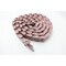 Uni-Chains Flexing Conveyor Chain 20.013Ft 50Mm 55Mm 31LF1700 - alternate 4