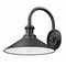 Z-Lite RLM 1-Light Outdoor Wall Light, 12 in W x 11.25 H, Sand Black 5021M-BK - alternate 7