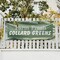 Signmission Farm Fresh Collard Greens, 24 Inch x 72 Inch, Vinyl Banner B-72-30588 - alternate 5