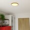 Vaxcel Aurelia 12-in Brushed Gold Contemporary Round LED Flush Mount Ceiling Light Alabaster Shade C0355 - alternate 8